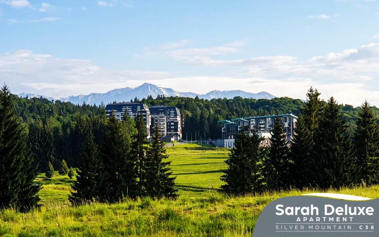 Sarah Deluxe Apartment In Silver Mountain بويانا براسوف المظهر الخارجي الصورة