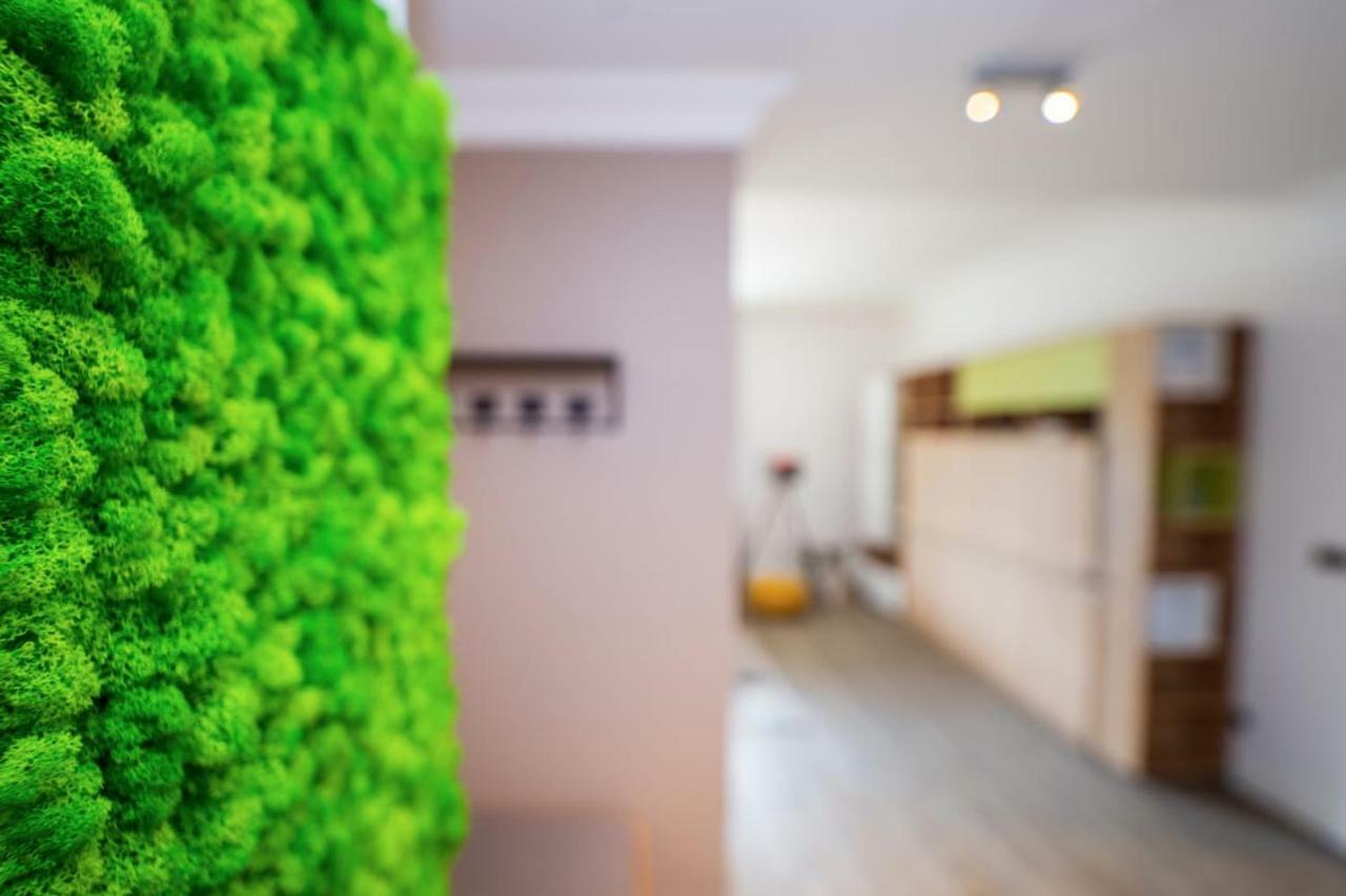 Sarah Deluxe Apartment In Silver Mountain بويانا براسوف المظهر الخارجي الصورة